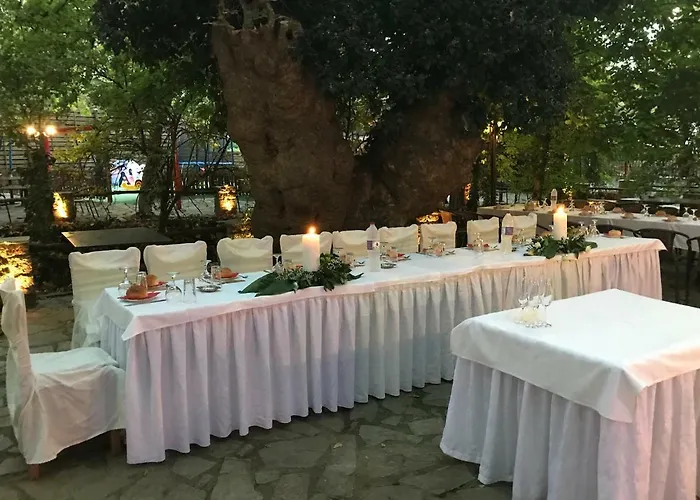 מלון Margaret's Island